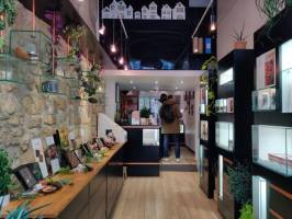 Yoann MOLIC - YOANN MOLIC