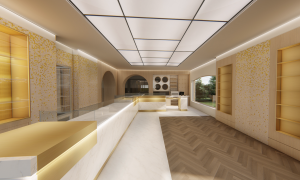 Nicola ALEXANDRE - ADN AGENCEUR DECORATEUR NICOLA